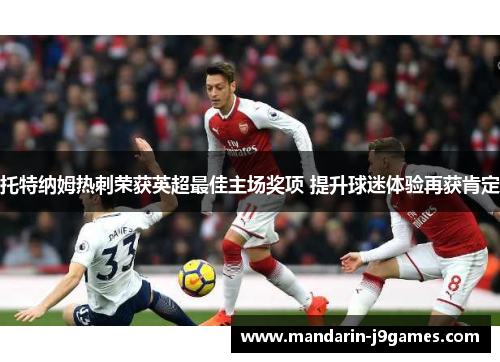 托特纳姆热刺荣获英超最佳主场奖项 提升球迷体验再获肯定